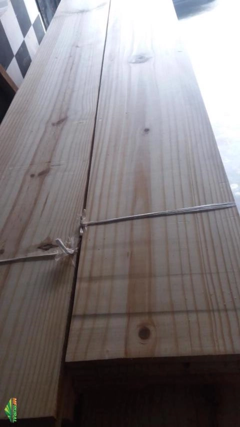 Imagem Madeira Pinus verde Imagem Madeira Pinus verde