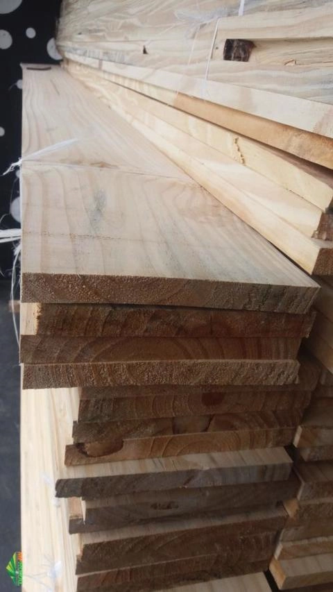 Imagem Madeira Pinus verde Imagem Madeira Pinus verde