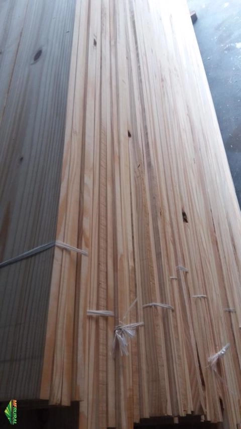 Imagem Madeira Pinus verde Imagem Madeira Pinus verde