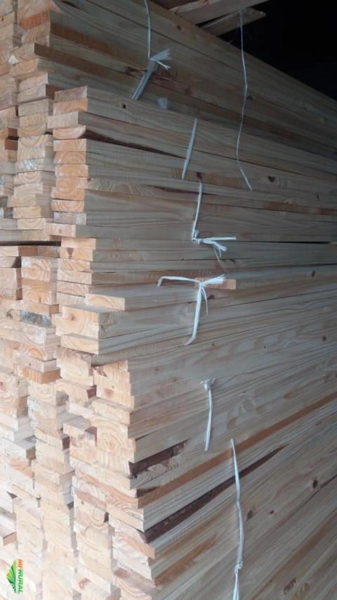 Imagem Madeira Pinus verde Imagem Madeira Pinus verde