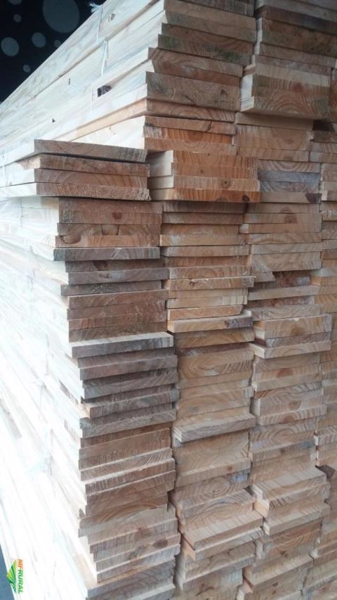 Imagem Madeira Pinus verde Imagem Madeira Pinus verde