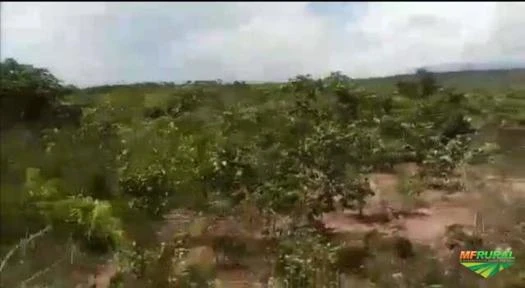 Fazenda em Nova São Joaquim