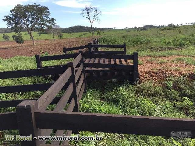 Arrendo Fazenda no Mato Grosso