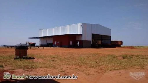 Galpões Rurais e industriais