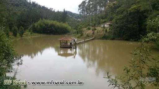 Terreno Rural com Reflorestamento