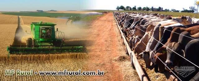 Crédito Rural Liberado para: Negócios Agrícolas, Implementos, Tratores, Caminhões e Fazendas.