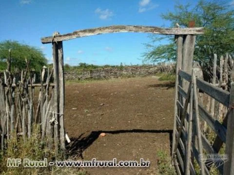 Fazenda a venda em Serra Talhada – PE ,214 hectares