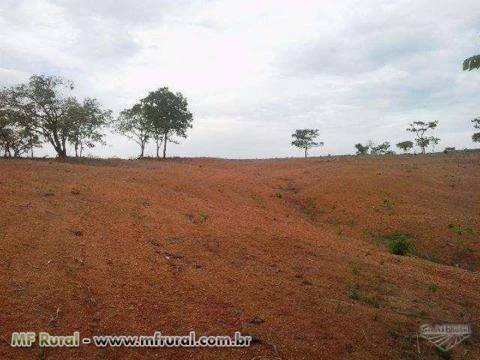 Fazenda Santa Rita no município de são gonçalo do Abaéte de 436 hectares