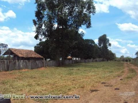 Fazenda Santa Rita no município de são gonçalo do Abaéte de 436 hectares