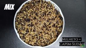 MIX MILHETO + CAPIM SUDÃO