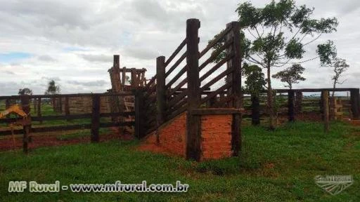 Fazenda para Pecúaria ou cana em Caarapó