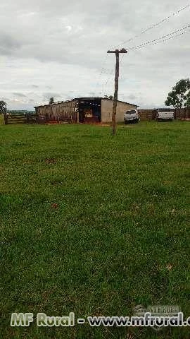 Fazenda para Pecúaria ou cana em Caarapó