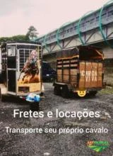 Transporte Para Cavalo