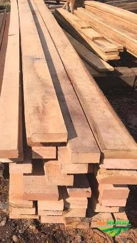 Pinus e Eucaliptos, Exportação, Construção Civil ou Industr