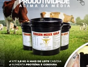 Virgin Mixx Gold Pró Leite - 16% + Leite