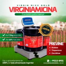 Virgin Mixx Gold Virginiamicina - Mais Peso