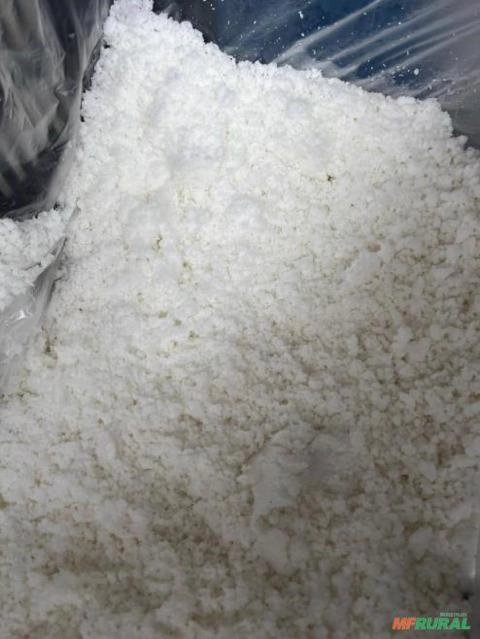 Coco Ralado Úmido Desengordurado Imagem Coco Ralado Úmido Desengordurado