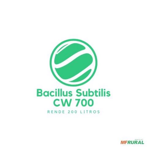 Bacillus Subtilis Imagem Bacillus Subtilis