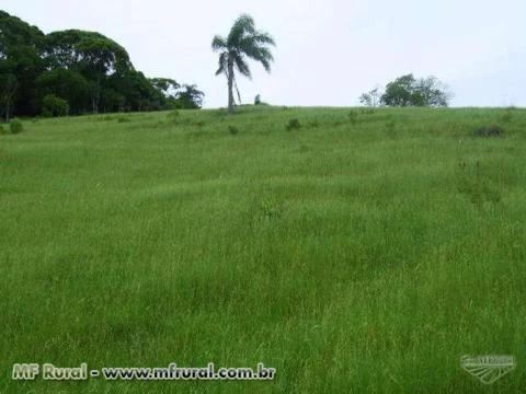 Excelente fazenda  frente BR101 na Grande Florianópolis