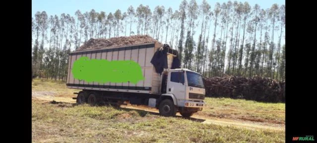 Carroceria para biomassa / carvão