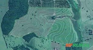 Mapeamento com Drones - Topografia, Índices de Vegetação e Processamento