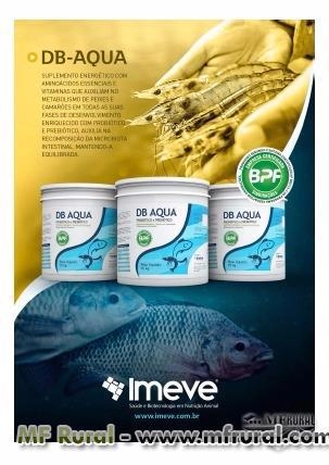 DBAQUA Probióticos e Prebióticos Imagem DBAQUA Probióticos e Prebióticos