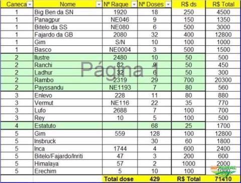 LIQUIDAÇÃO DE DOSES DE SÊMEN COM BOTIJÃO - Raridades e Animais Provados - Promoção IMPERDÍVEL Imagem LIQUIDAÇÃO DE DOSES DE SÊMEN COM BOTIJÃO - Raridades e Animais Provados - Promoção IMPERDÍVEL