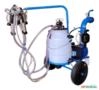 Ordenhadeira móvel com motor a gasolina e conjunto duplo Imagem Ordenhadeira móvel com motor a gasolina e conjunto duplo