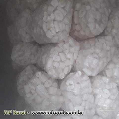 Imagem Mandioca Imagem Mandioca