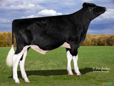 Sêmen PEAK GOPRO-ET Imagem Sêmen PEAK GOPRO-ET