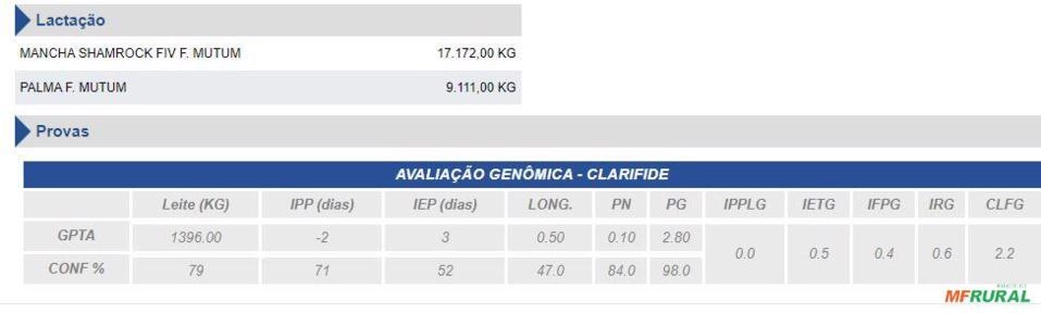 Imagem Sêmen Haley Altafad FIV 2R Jatai Imagem Sêmen Haley Altafad FIV 2R Jatai