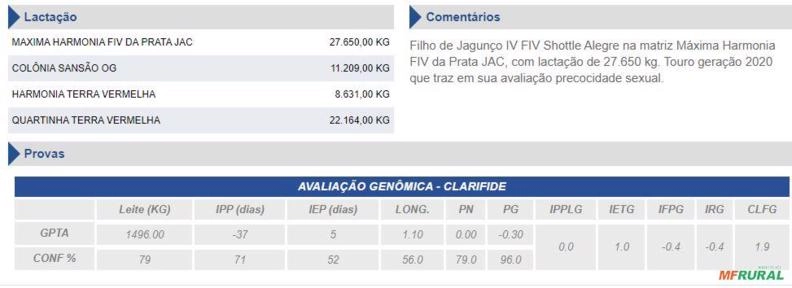 Imagem Sêmen Falcão Máxima FIV 2R Jatai ESB Imagem Sêmen Falcão Máxima FIV 2R Jatai ESB