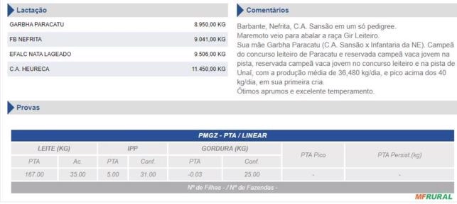 Imagem Sêmen Maremoto Paracatu Imagem Sêmen Maremoto Paracatu