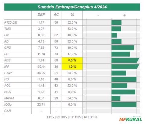 Imagem Sêmen Pajé Do Batuque Imagem Sêmen Pajé Do Batuque