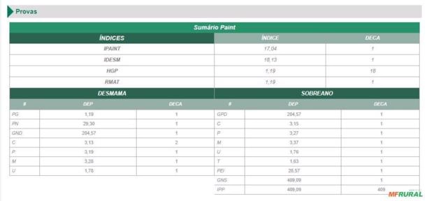 Imagem Sêmen PAINT Puma Imagem Sêmen PAINT Puma