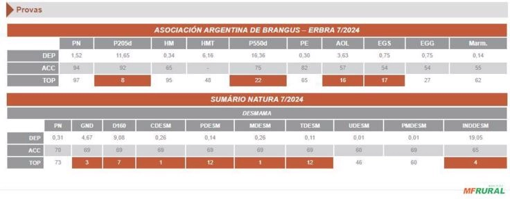Imagem Sêmen Fortinrifles 877 Tabasco - Cañonazo Imagem Sêmen Fortinrifles 877 Tabasco - Cañonazo