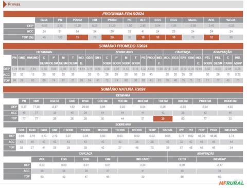 Imagem Sêmen Charles H381 Gladiador G794 - Remolón Imagem Sêmen Charles H381 Gladiador G794 - Remolón