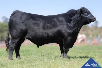 Sêmen BAR Enhance Imagem Sêmen BAR Enhance