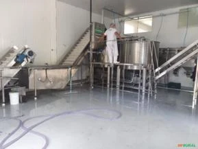 Industria de Açaí com 2 fabricas