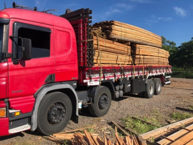 Pranchas de Eucalipto e Madeira Certificada Imagem Pranchas de Eucalipto e Madeira Certificada