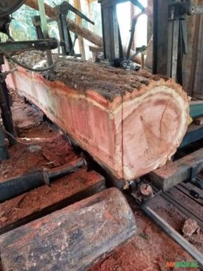 Madeira Peroba-Rosa Madeira Peroba-Rosa