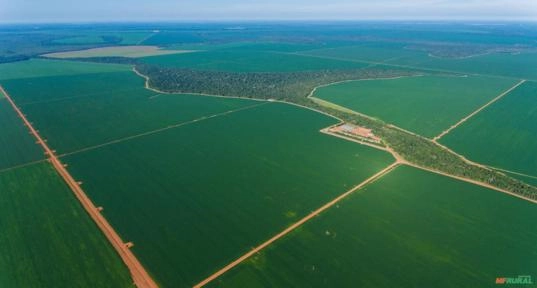 Procuro terra para arrendar em Alagoas. Imagem Procuro terra para arrendar em Alagoas.