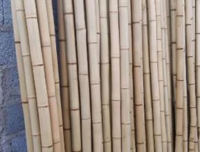 Bambu tratado  para móveis, construções e artesanato em geral