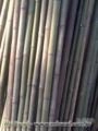 Estacas Bambu para tomate e vage Imagem Estacas Bambu para tomate e vage