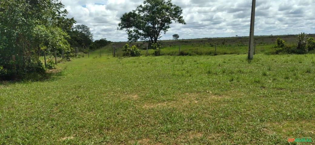 Fazenda no Mato Grosso