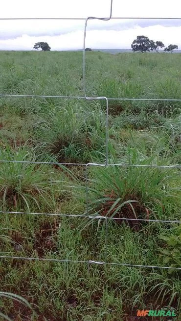 Fazenda no Mato Grosso