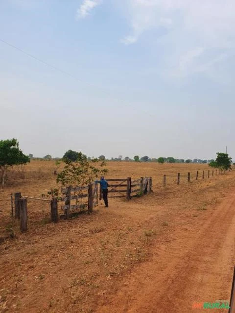 Fazenda no Mato Grosso