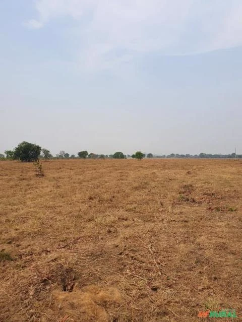 Fazenda no Mato Grosso