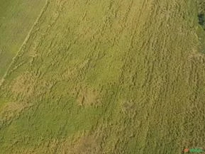 Fazenda em Mato Grosso