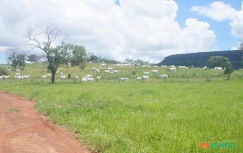 Fazenda para pecuária no Mato Grosso